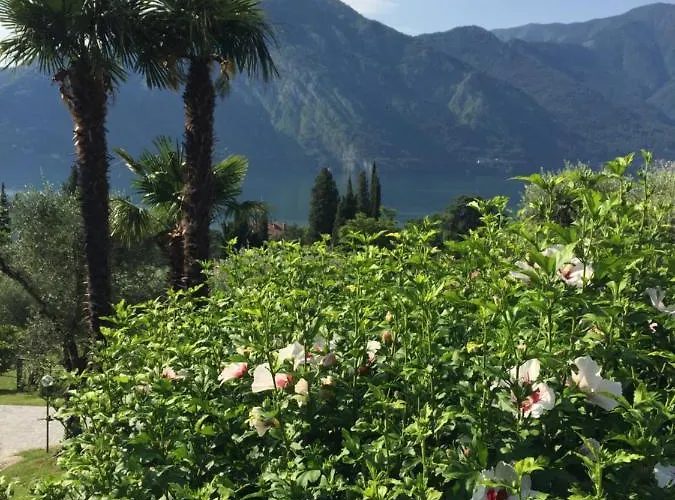 Residenza Margherita Appartement *